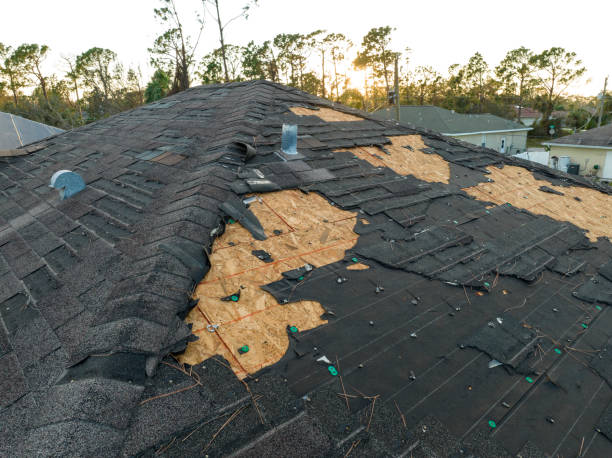 Best Roof Ventilation Installation  in William Paterson University Of New Jersey, NJ
